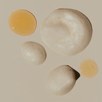 Lelive. Clean Slate | Cleanse + Renew Body Wash